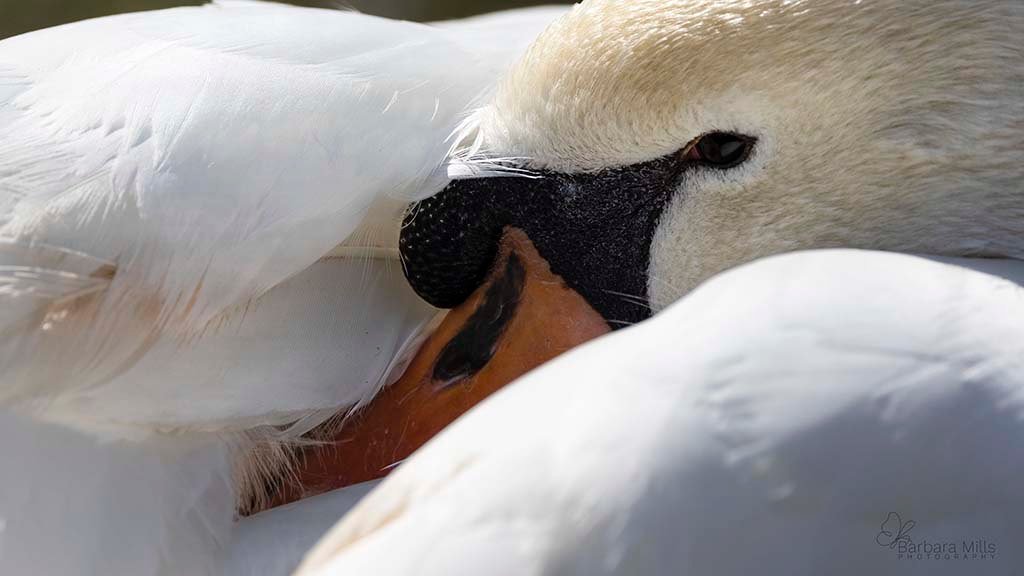 It might look serene here&hellip;

But behind the scenes there&rsquo;s a new website quietly taking shape,
Guyana photographs being sorted and edited,
and more than a little steady paddling.

All part of the process.