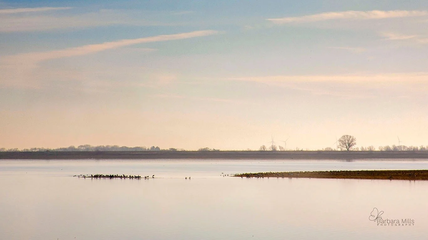 Abberton Reservoir at dawn.

Soft March light and the promise of brighter days ahead.

A gentle way to begin the week at Black House Craft Centre.