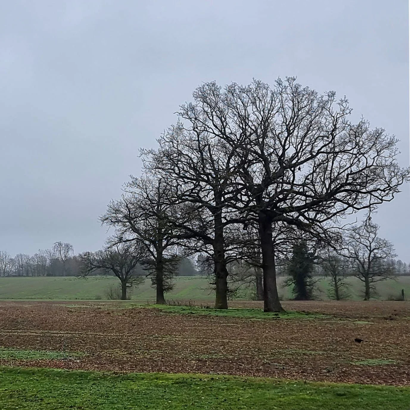 A Monday walk with the camera.

The weather clearly didn&rsquo;t get the memo.