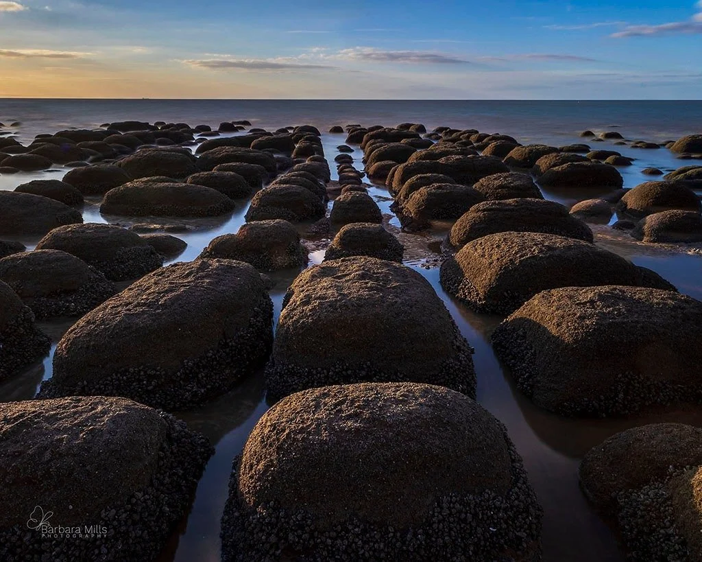 A quiet preview of something new.

This photograph will be appearing on the new Gallerie Schmetterling website when it launches.

Still a little work to do behind the scenes&hellip; but it&rsquo;s getting closer.