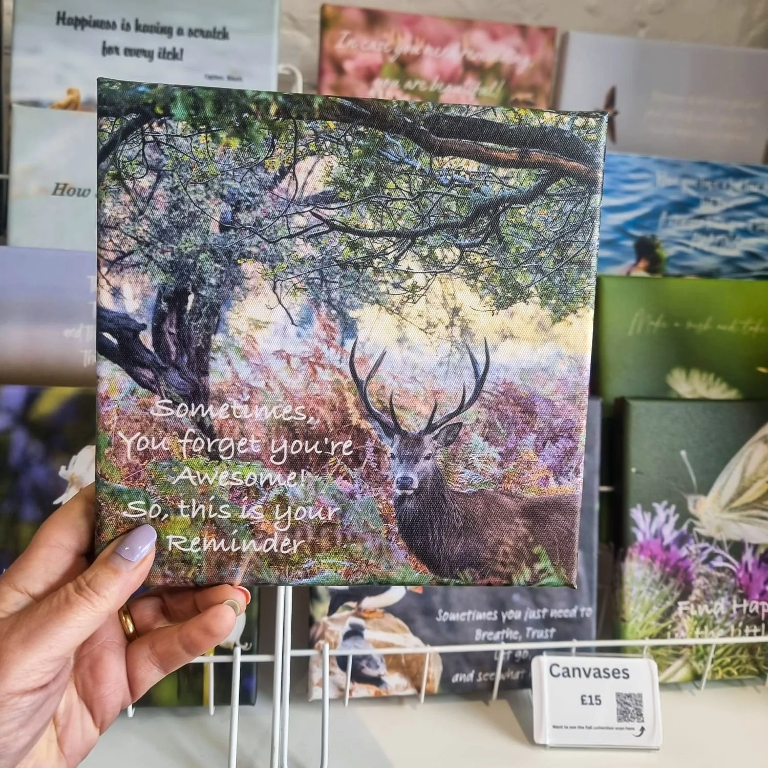 Father's Day is almost here 

If you're looking for a thoughtful gift that's a little different, these photographic canvases make a lovely alternative to the usual socks, chocolates, and novelty gadgets.

Featuring my own wildlife, landscape and natu