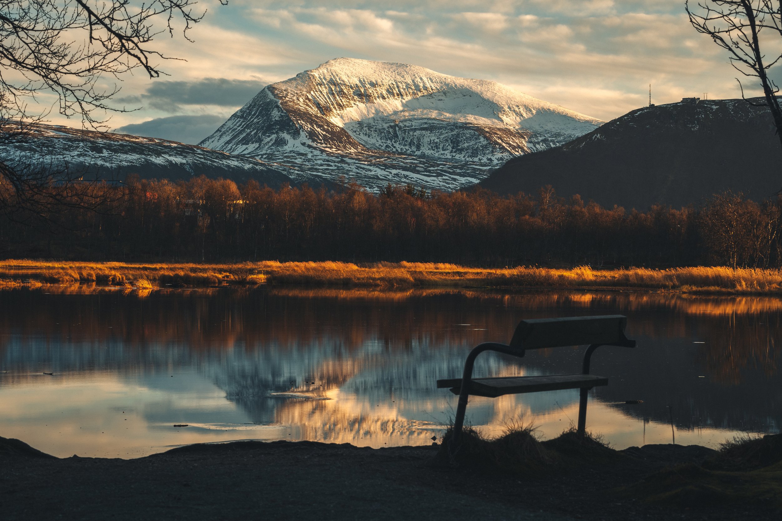 Område Prestvannet høst.JPG