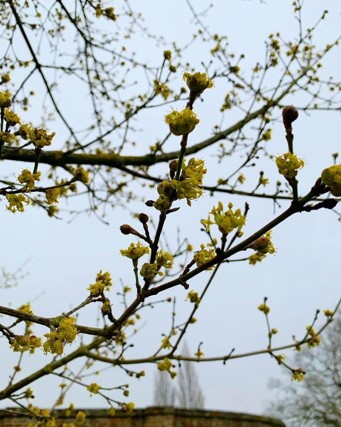 February