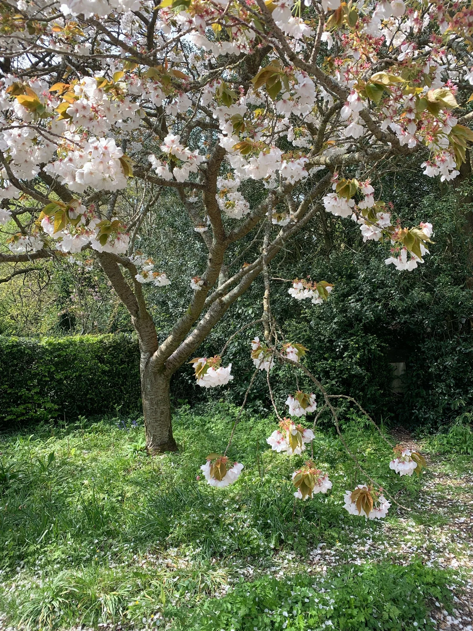 April