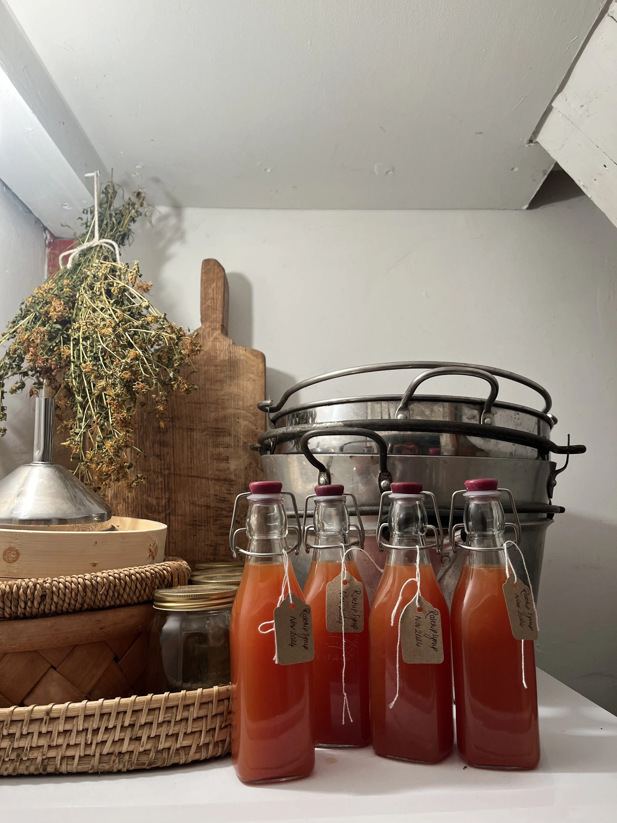Autumn Herbal Medicine Making