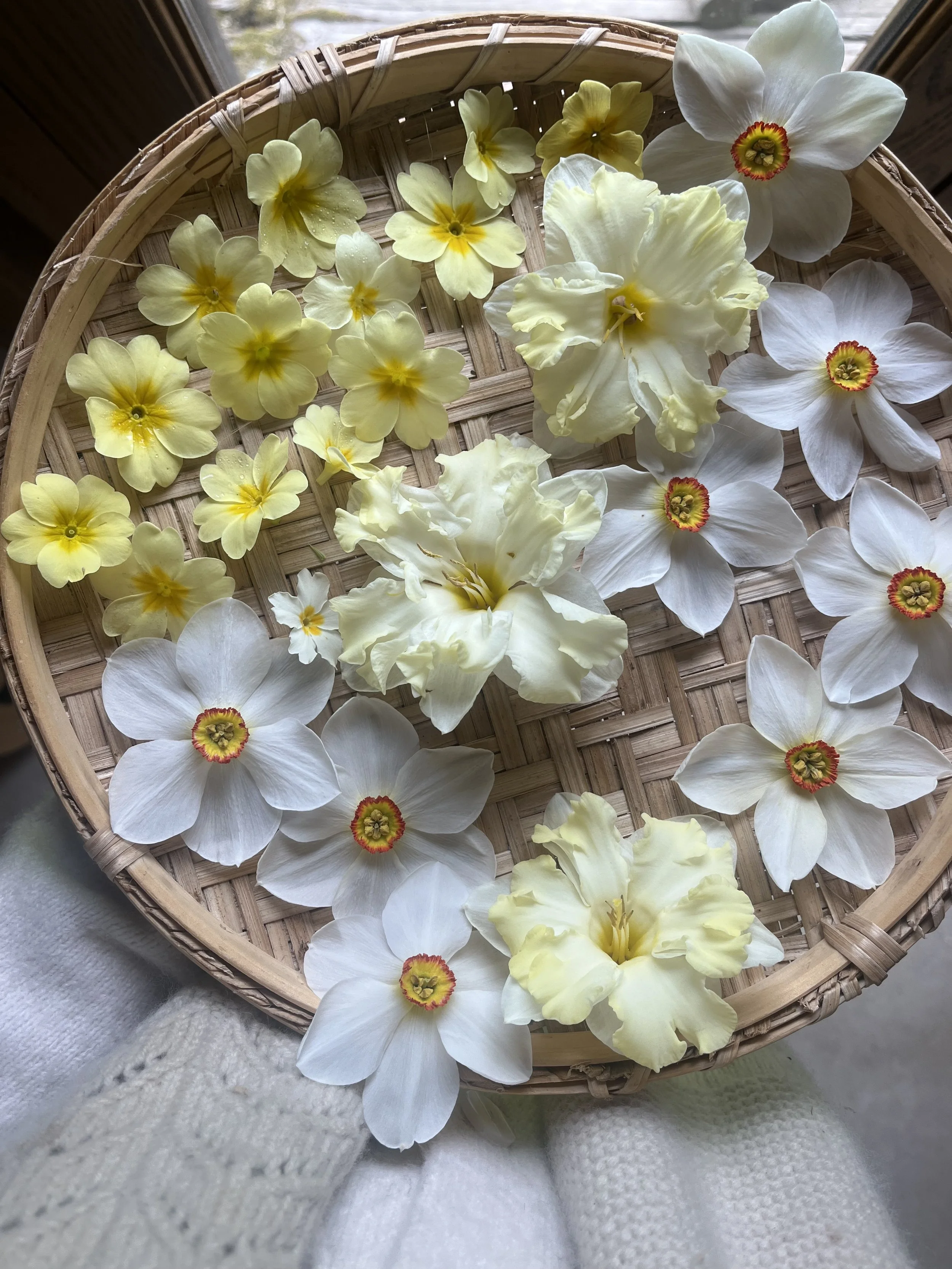 The Art of Flower Pressing