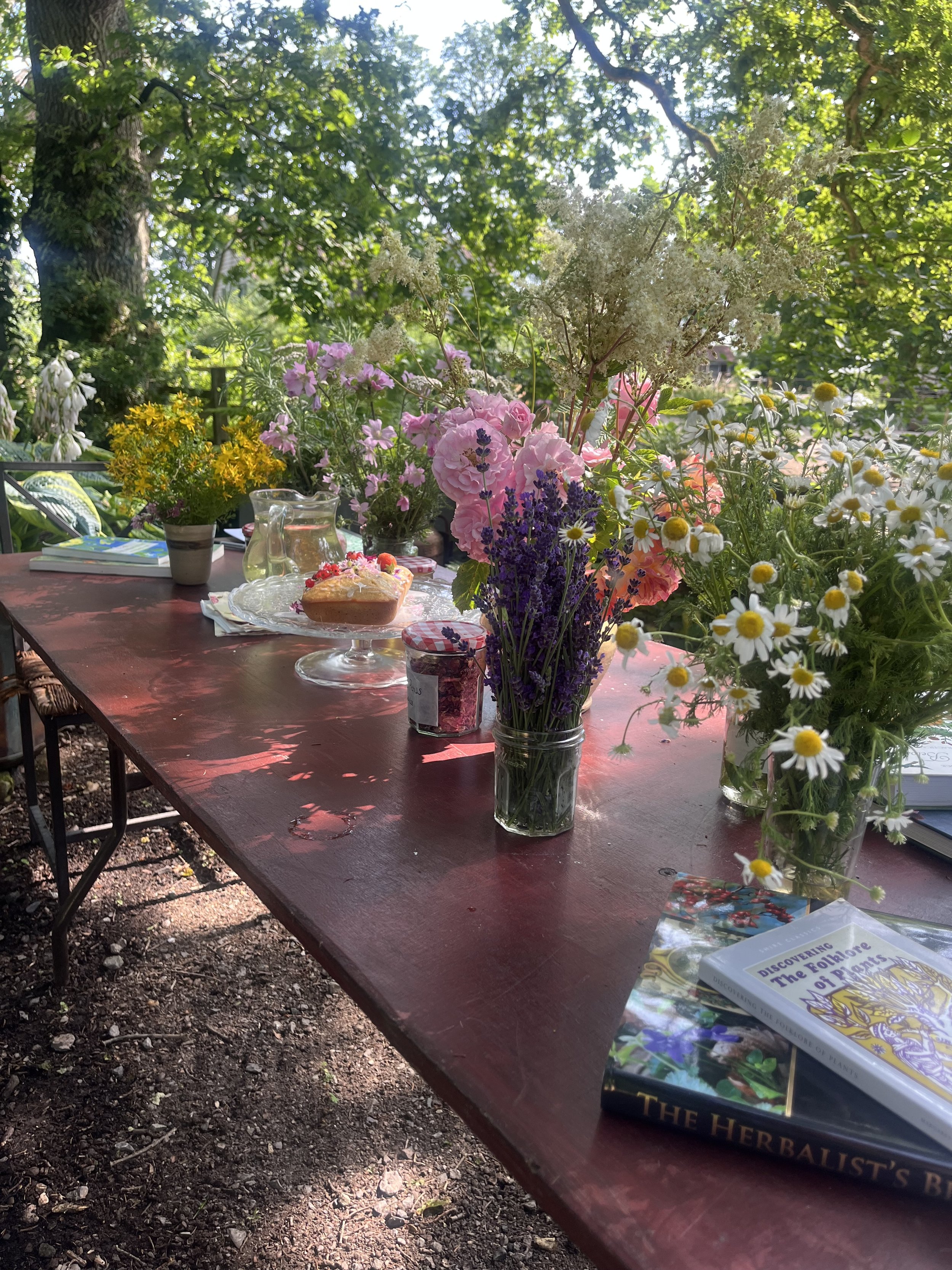 Summer Herbal Medicine Making