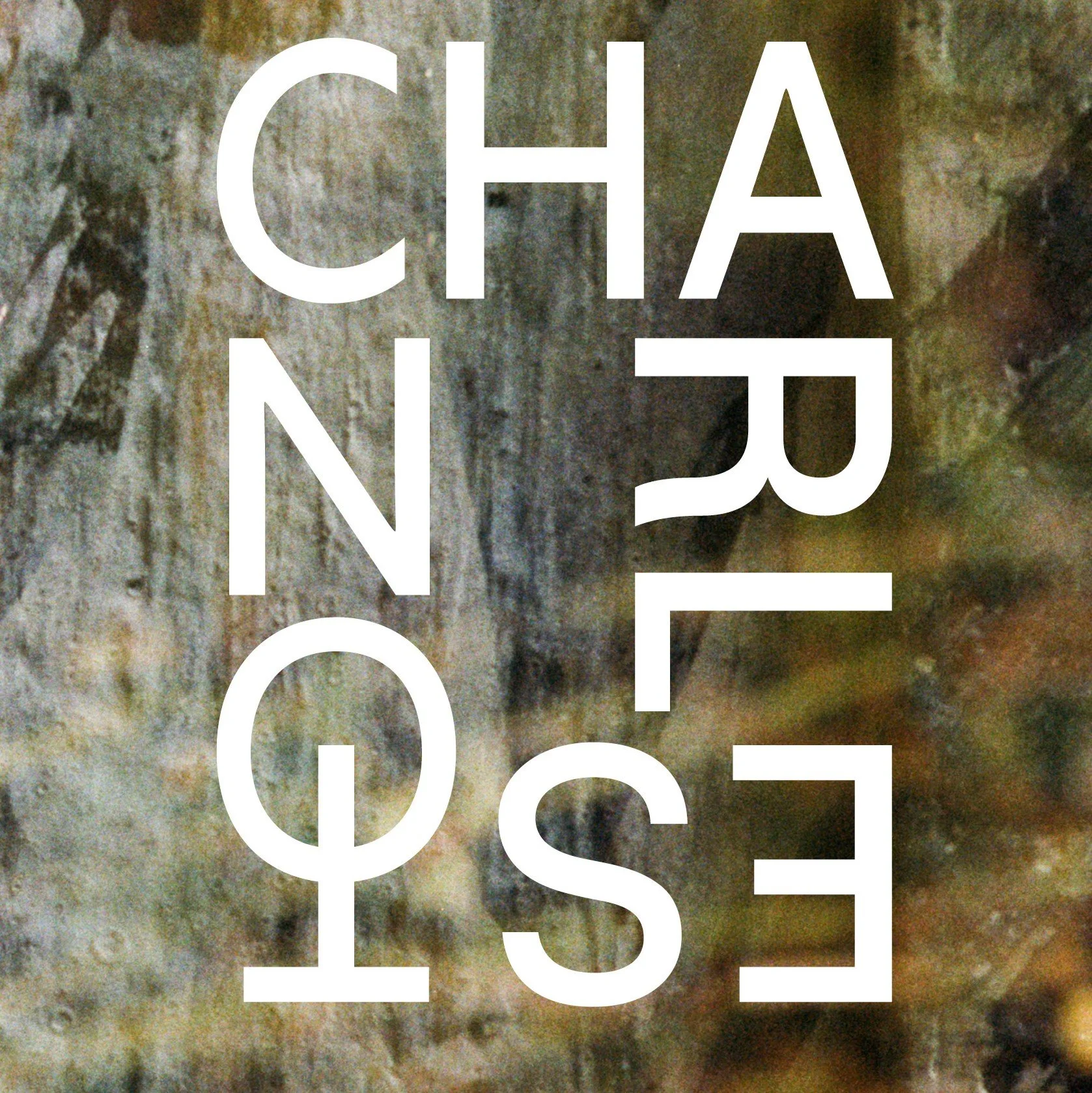 Close-up of a textured stone surface overlaid with white text reading 'CHAI NU' and 'SE' in large, bold letters.
