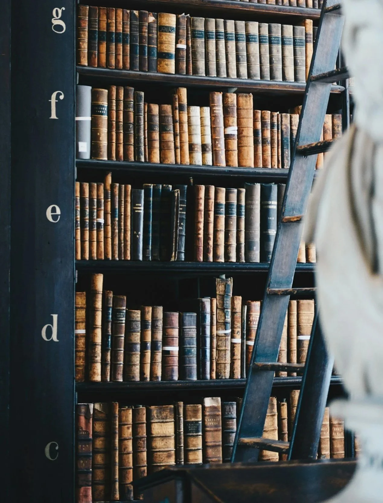 A tall bookshelf filled with old, leather-bound books. The bookshelf has a ladder leaning against it for access to the upper shelves. The books are arranged in rows, varying in shades of brown, with some black book spines visible.