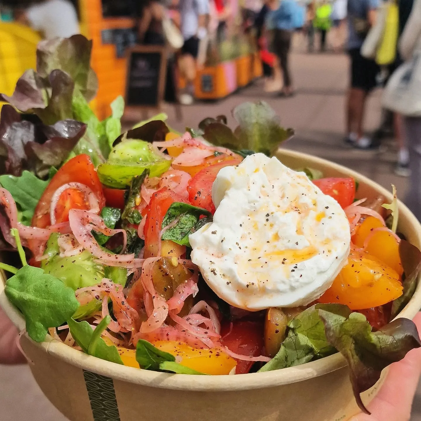 Heritage Tomato, Basil &amp; Picked Shallot Salad 🌟 

Served with: 

🐟  Local Grilled Mackerel 

or

🧀 Burrata (pictured) 

If you're feeling extra naughty, add some Crispy Smashed Potatoes w/ Chive Mayo 😎

Available now!!

#freshsalad 
#freshing