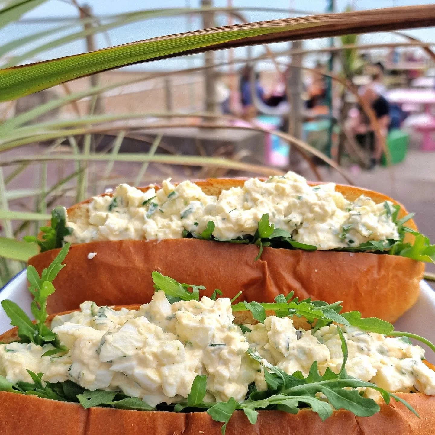 Subs 🥖 have arrived! 

Featuring:

Egg Mayo &amp; Rocket ✅️
Prawn Cocktail ✅️ 

Something crabby coming soon 🦀

Available from babygoat right now 😎

#eggmayo
#babygoat 
#goatledgesubs