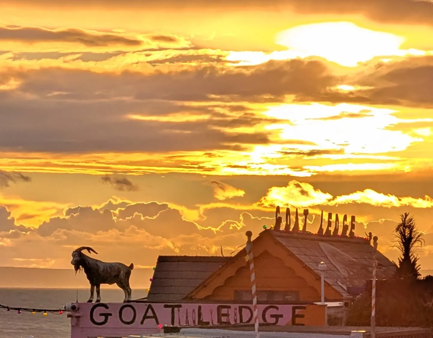 Our goat really does have the best view. Tonight's sunset was very tasty indeed 🌅 

#sunset 
#goatledge
