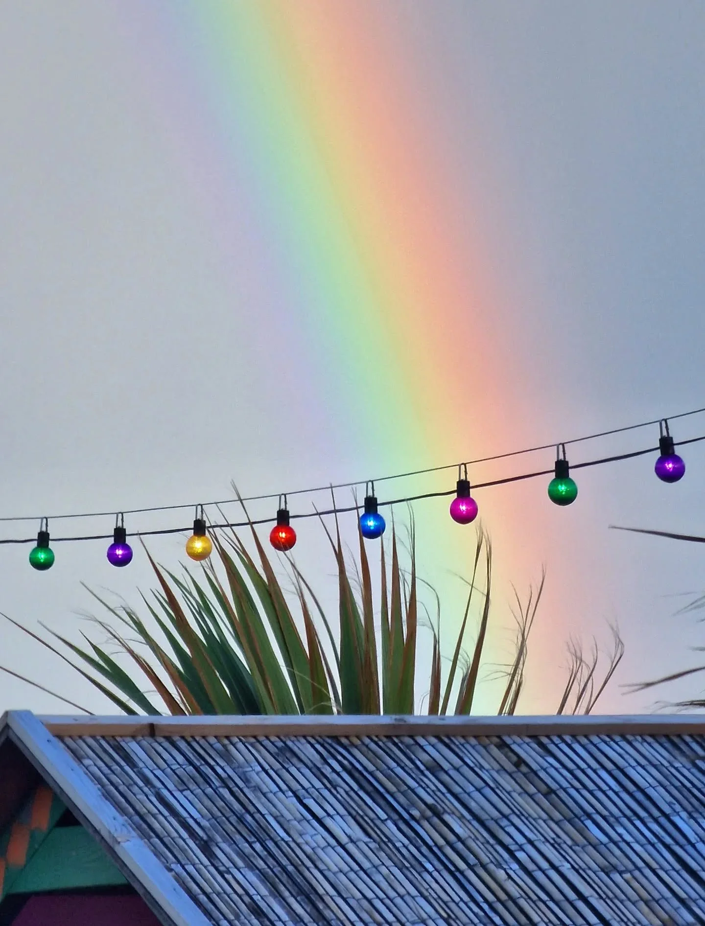 We have been BLESSED with a very colourful rainbow! 🌈 

HOORAH! 

#rainbow
#stleonardsonsea
#goatledge