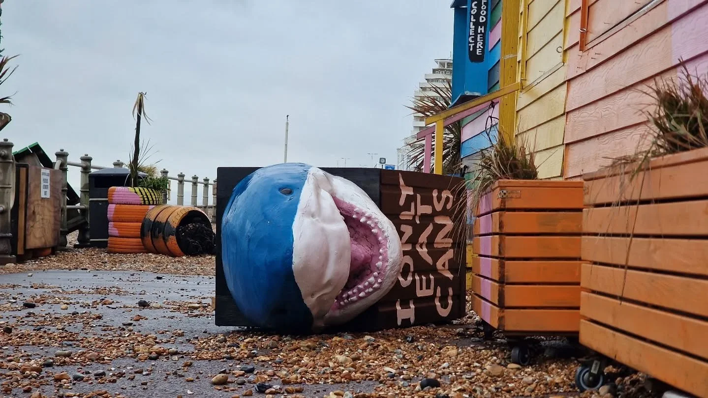 A poignant scene this morning...

Wave footage.. INCOMING! 🎥 

#goatledge