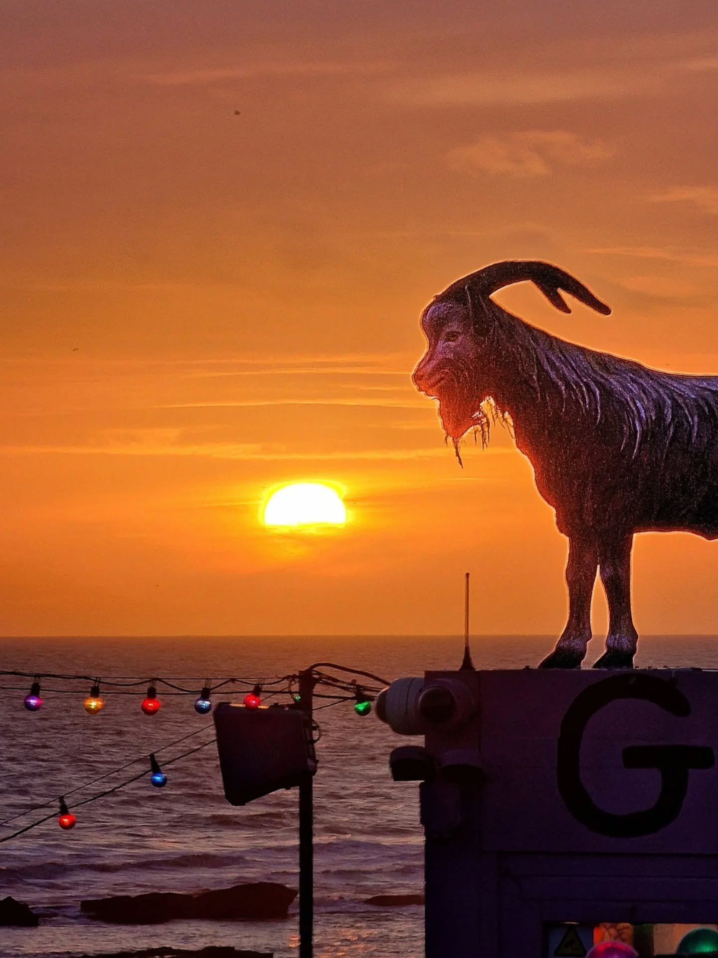 We've one happy goat this evening sunset gazing 🌅

#thegoat 
#sunset 
#goatledge