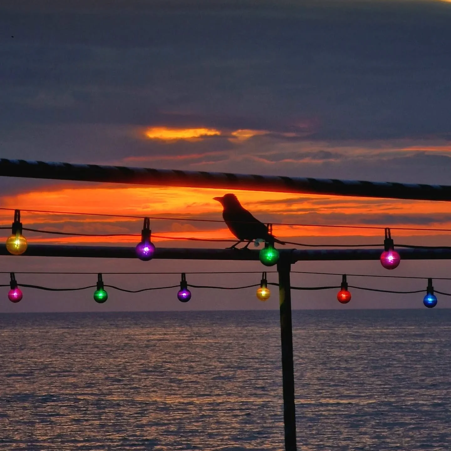 🌅 🐦&zwj;⬛ 🚥

#goatledge