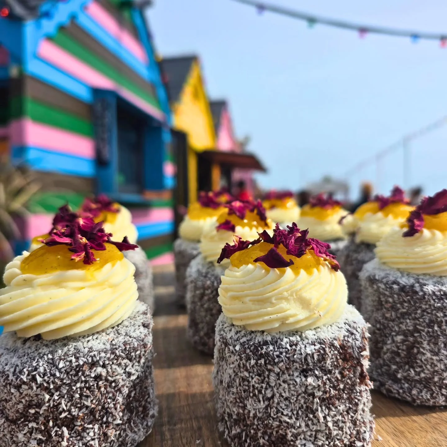Magnificent Mango Lamingtons! 🥥 🥭

Baked with love and tropical vibes, these are one tasty batch of cakes you're going to want to try! 🌴

Available... now! 

#lamington
#mango
#homemade
#goatcakes 
#goatledge
