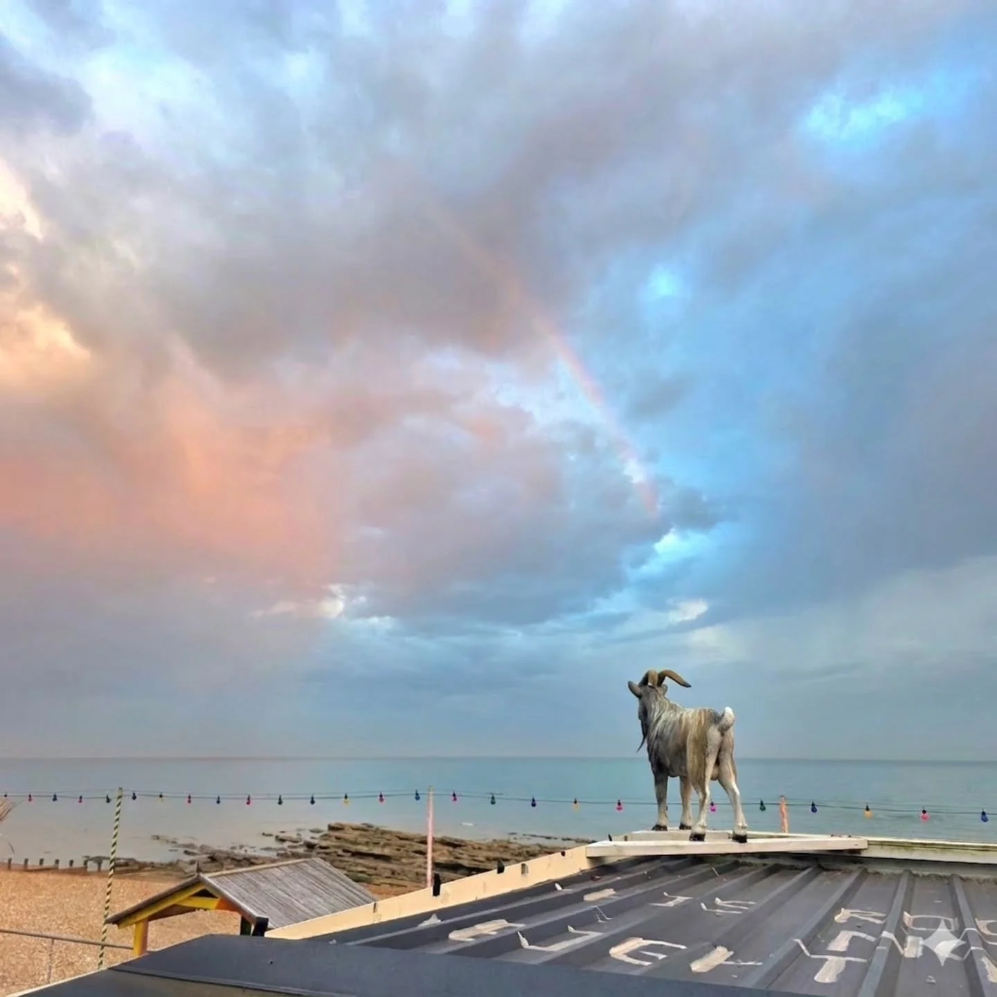 Someones happy with their view 🌈 and if the goat's happy - we're happy! 

#viewsfordays
#eveningrainbow
#alwaysonwatch
#happygoat
#goatledge