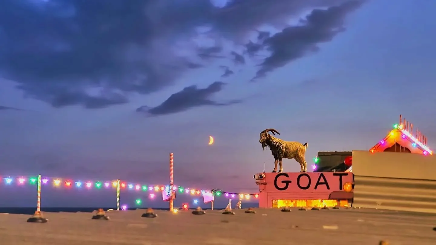 Mr Goat says good night St Leonards 💫

#illuminated 
#mrgoat 
#stleonardsonsea 
#twilight 
#goatledge