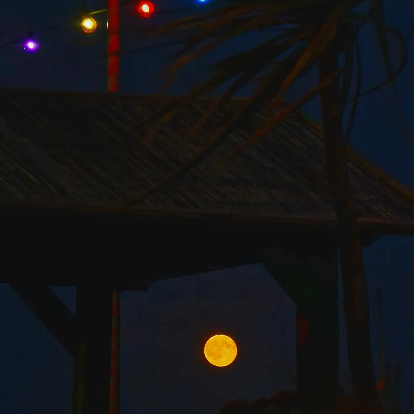 The Full Sturgeon Moon illuminating the skies tonight 🌕 

📸 Luke 

#sturgeonmoon
#fullmoon
#redmoon
#stleonardsonsea
#goatledge