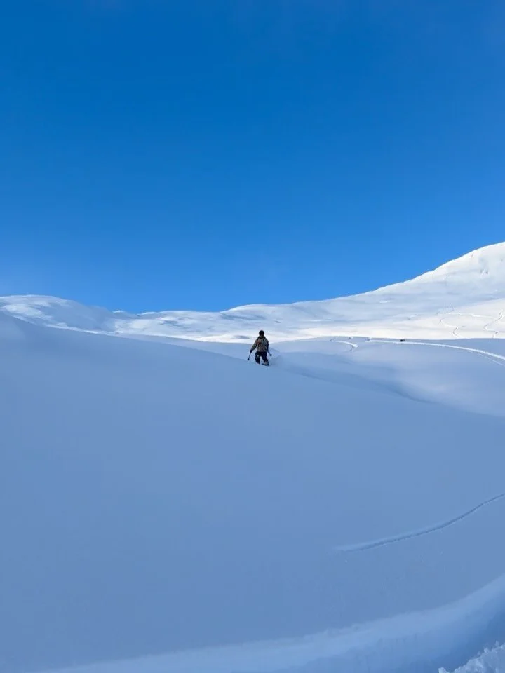 Det har v&aelig;rt en fantastisk start p&aring; vinteren p&aring; Nordvestlandet. Bli med oss p&aring; tur eller kurs i vinter.