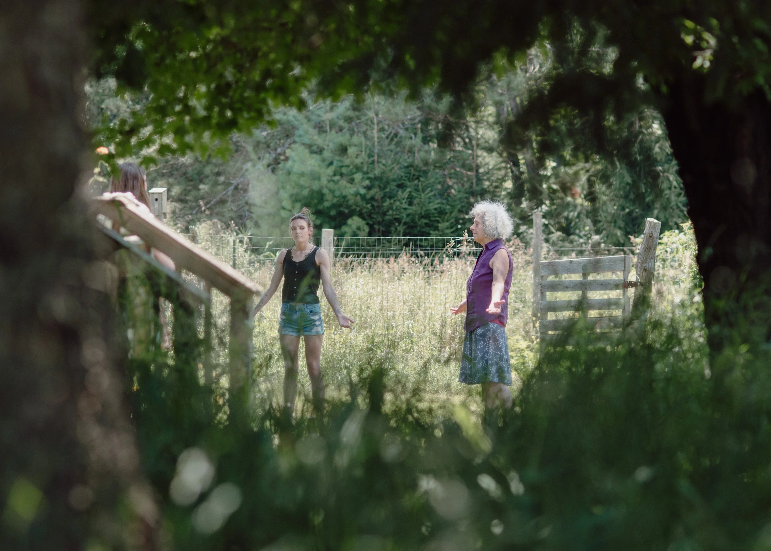 Summer and Fire - A Qi Gong Workshop