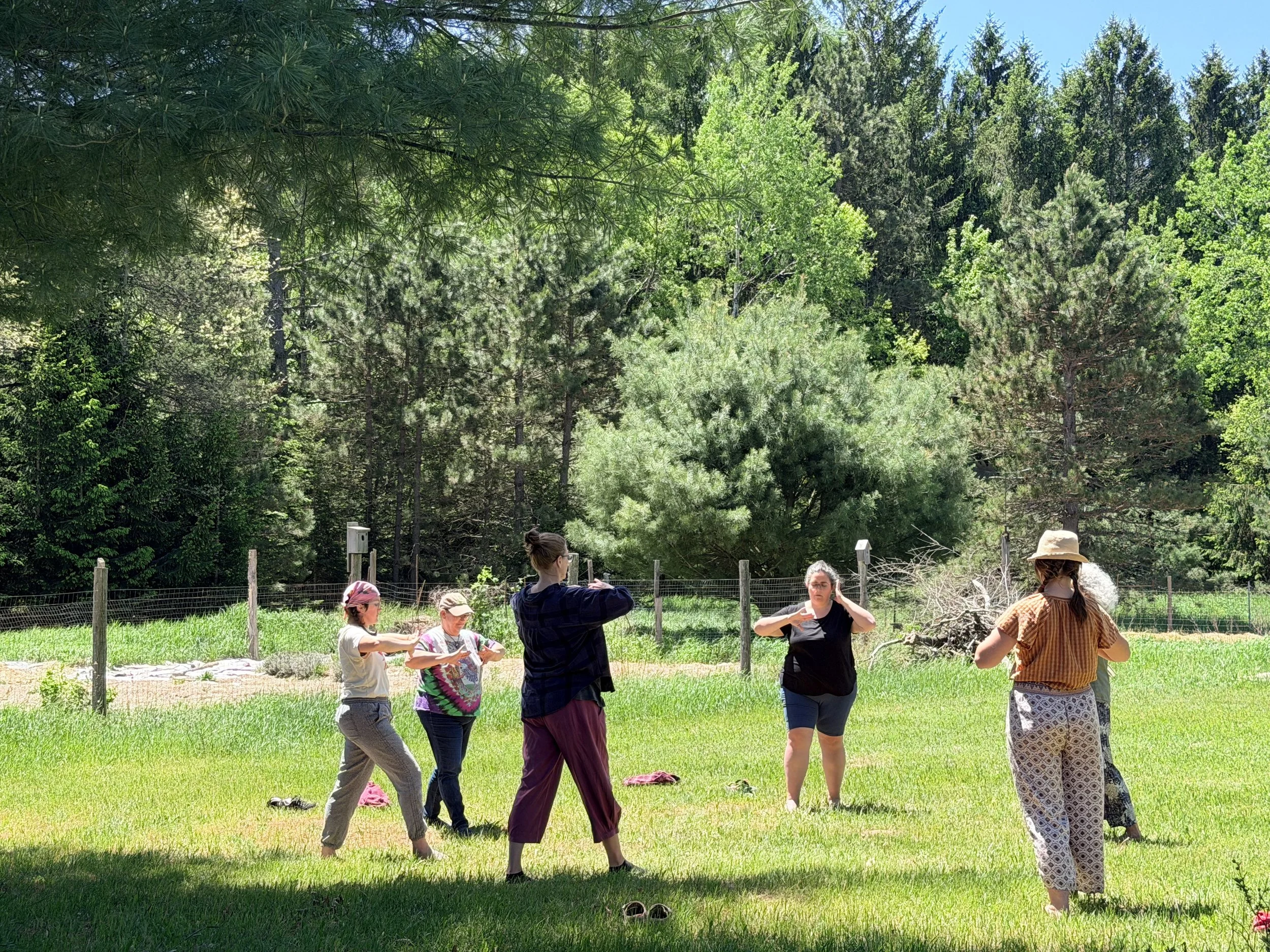Qigong Workshop - Late Summer &amp; Earth Element