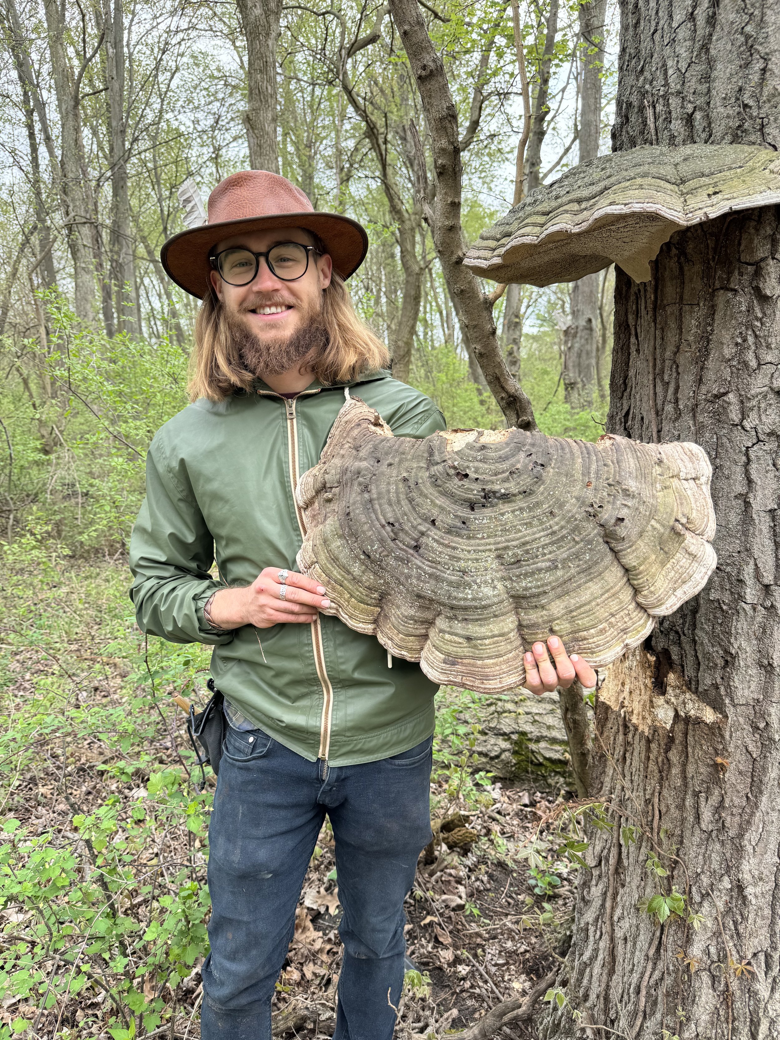 Michigan's Medicinal Mushrooms