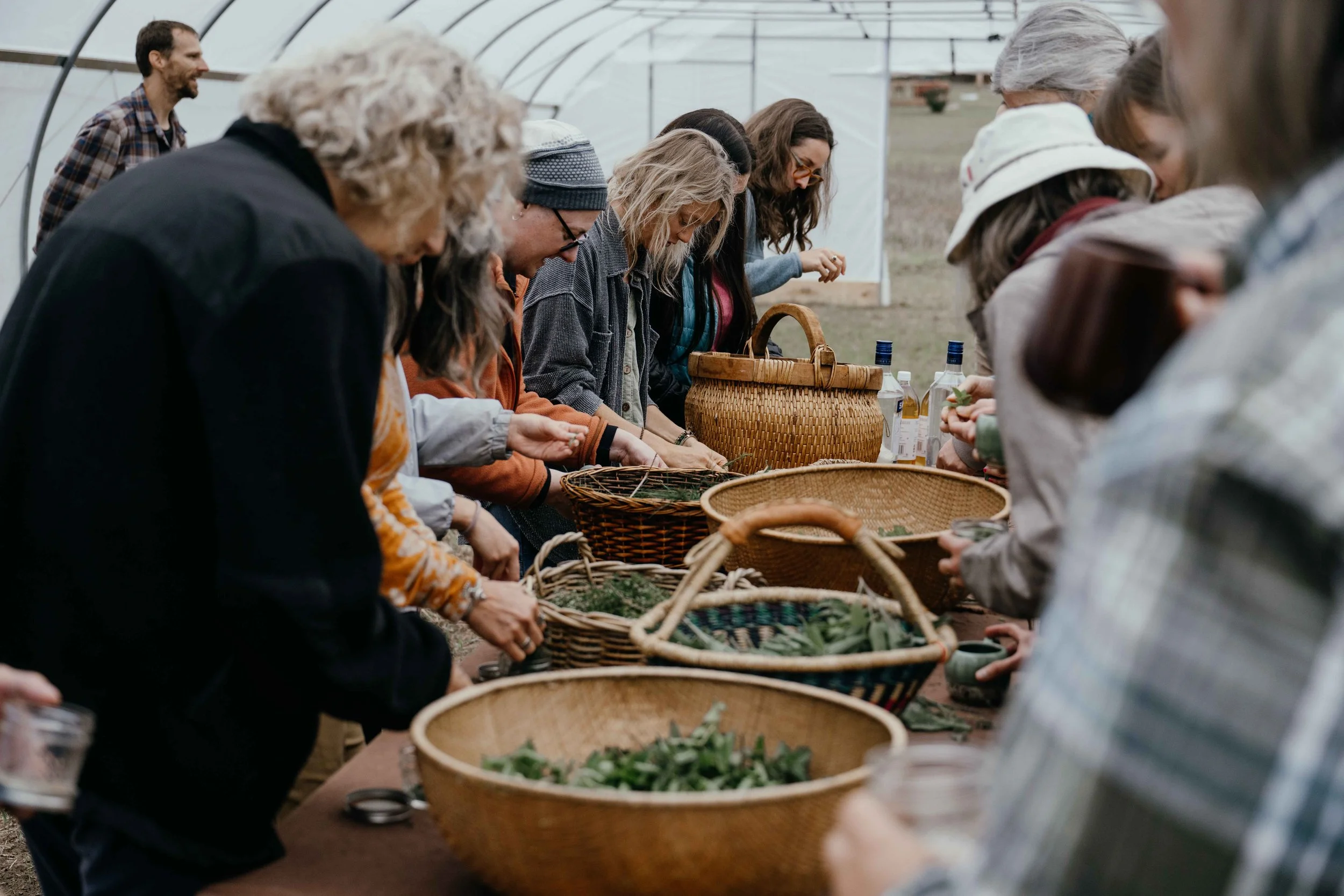Herb Fest 2026