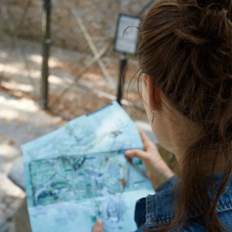 Basic Orienteering Workshop