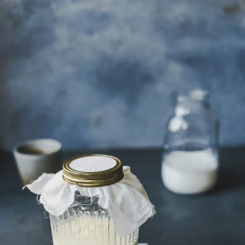 Yogurt Making with Sue Kurta 