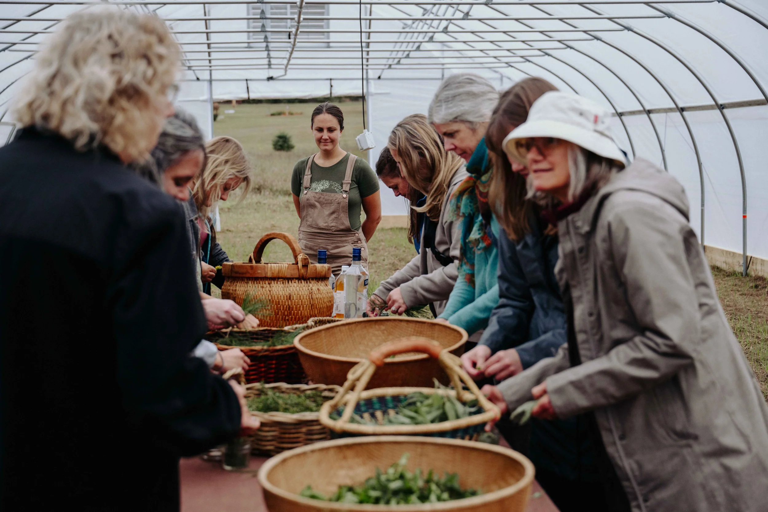 Herb Fest 2025-49.jpg