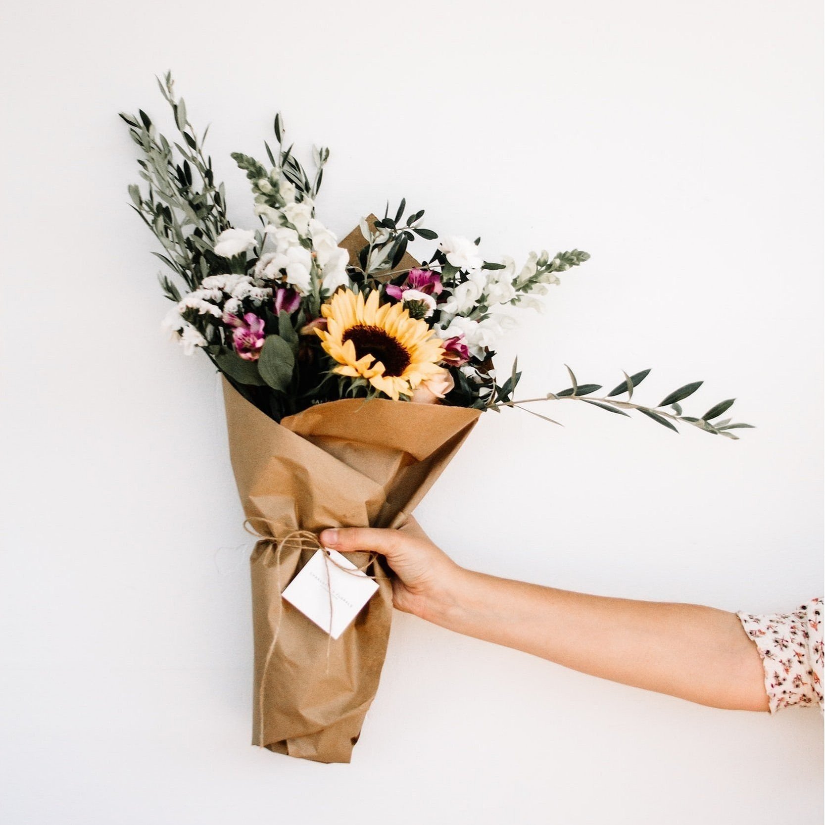 unsplash-image-s3AFTBZ3cnc.jpg