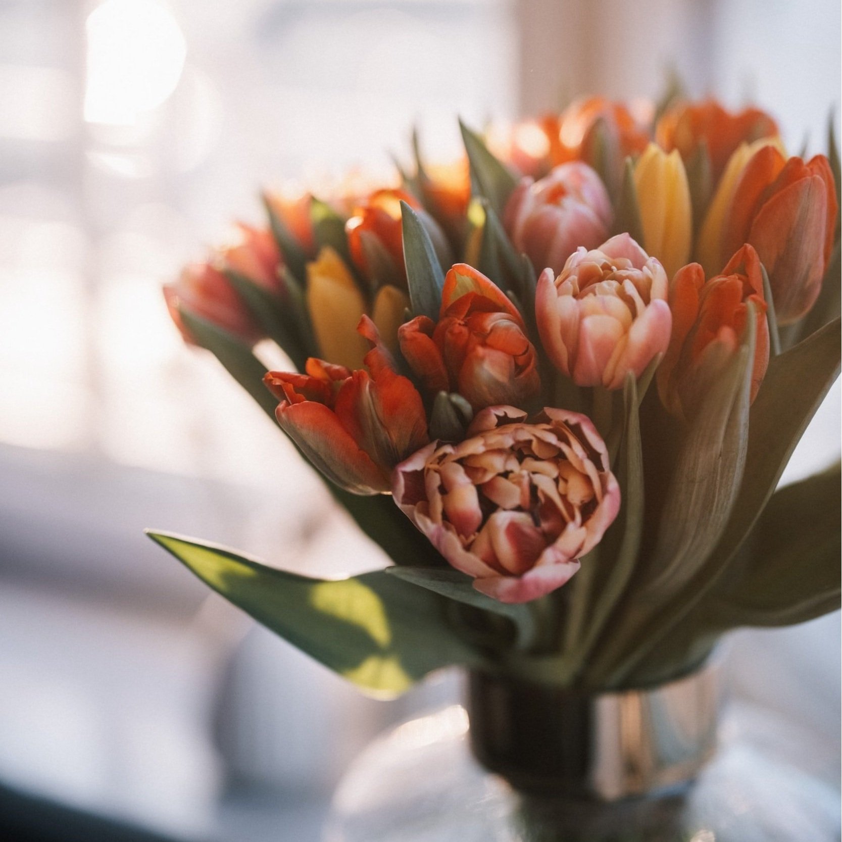 unsplash-image-L-Yq9SIkDSk.jpg