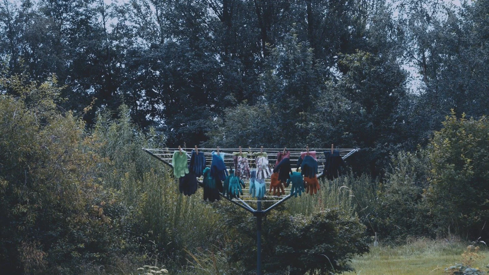 Bamboo in the Wind (Short Doc / S. Van Bree/ In Prod) 