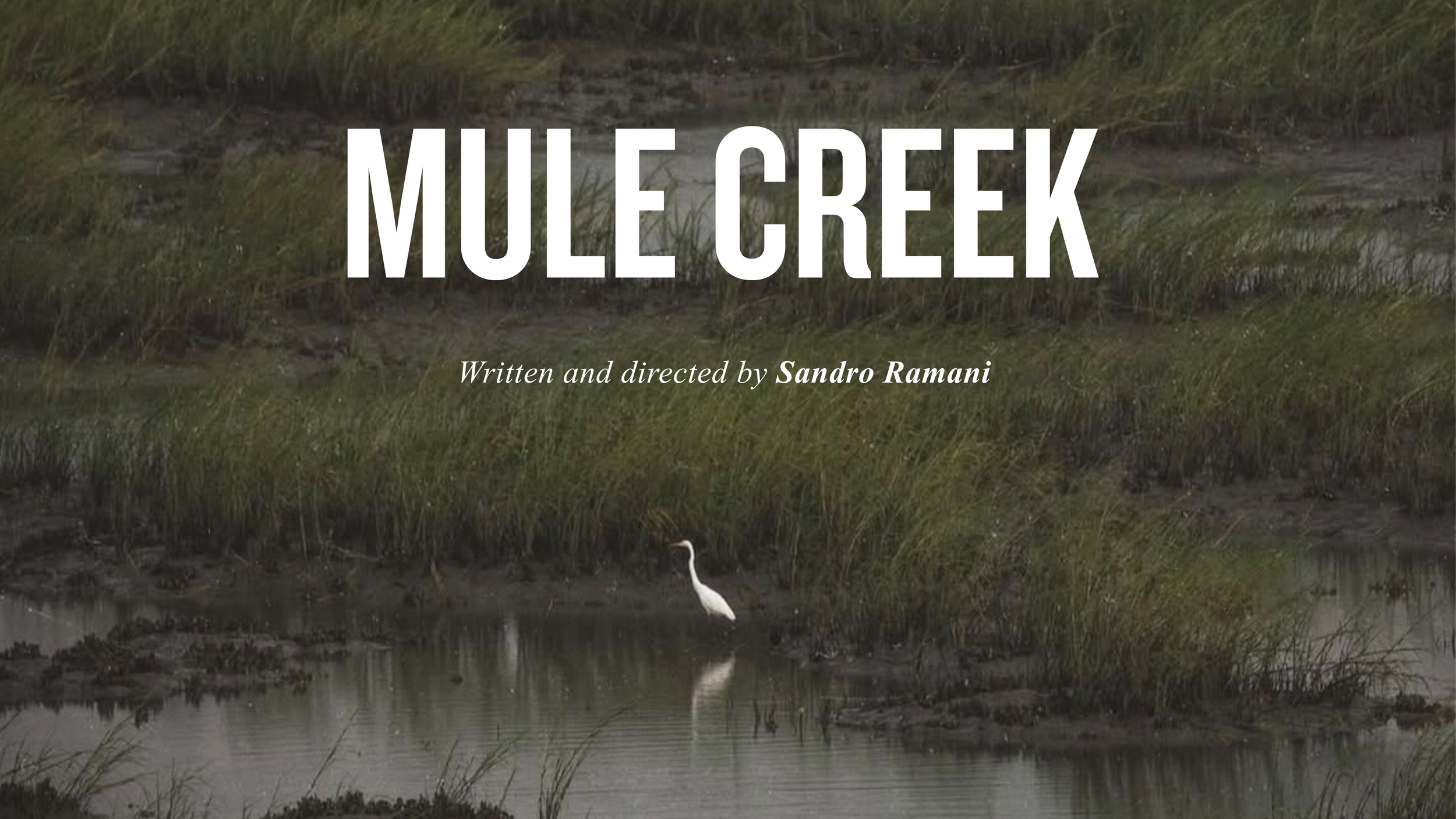 Mule Creek (Feature Doc / Sandro Ramani / In Dev)