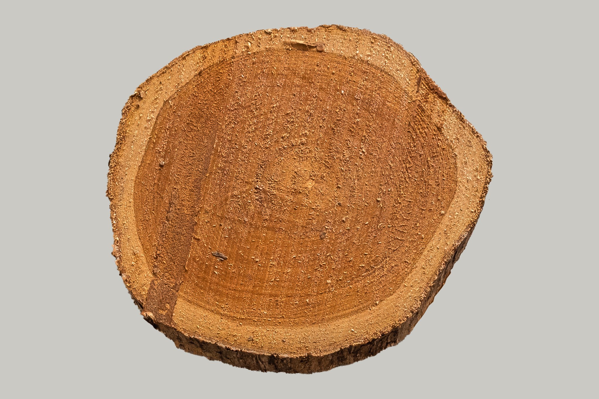 EcoTeak-objeto-tronco-2.jpg