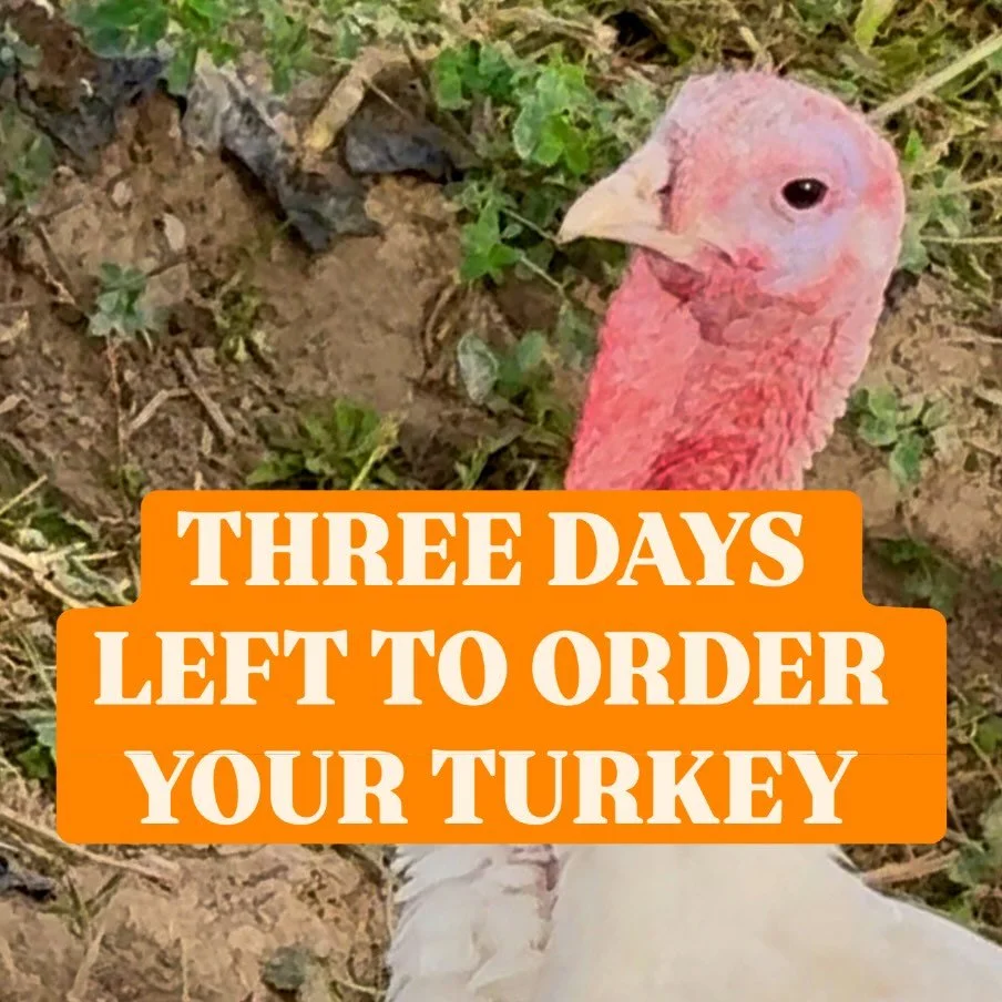 Orders are open until the wee hours of November 19th! Go to our website to order any thanksgiving items you may need (and maybe some you just want). Pickup your items in store starting Friday 11/21! https://www.themeathook.com/holiday-reservations