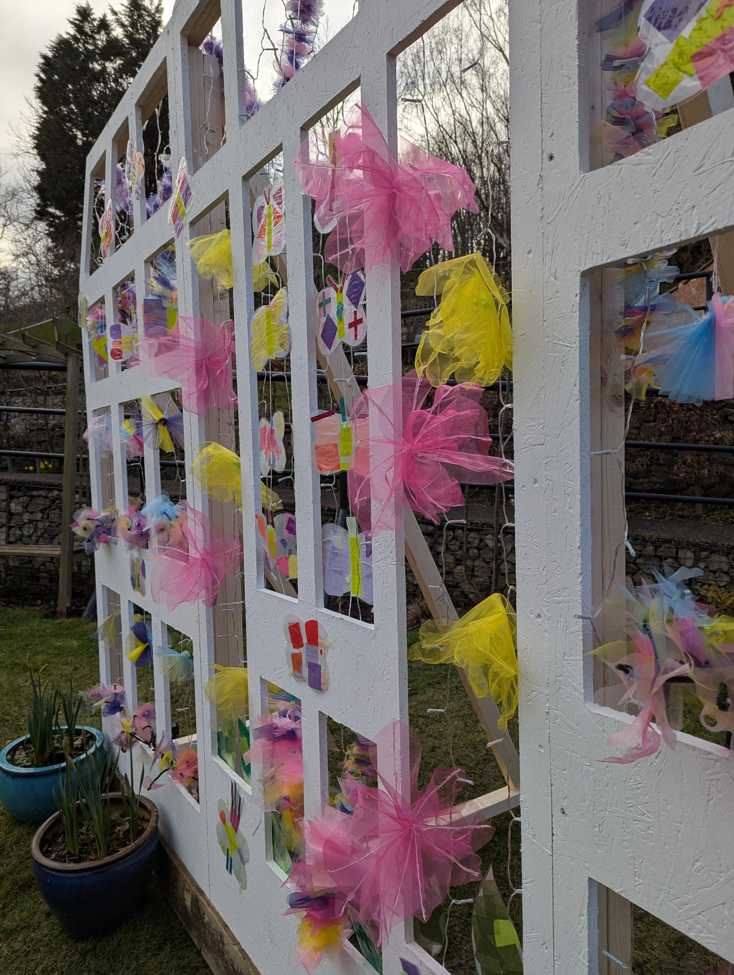 PXL_20250313_161127341 1.jpg