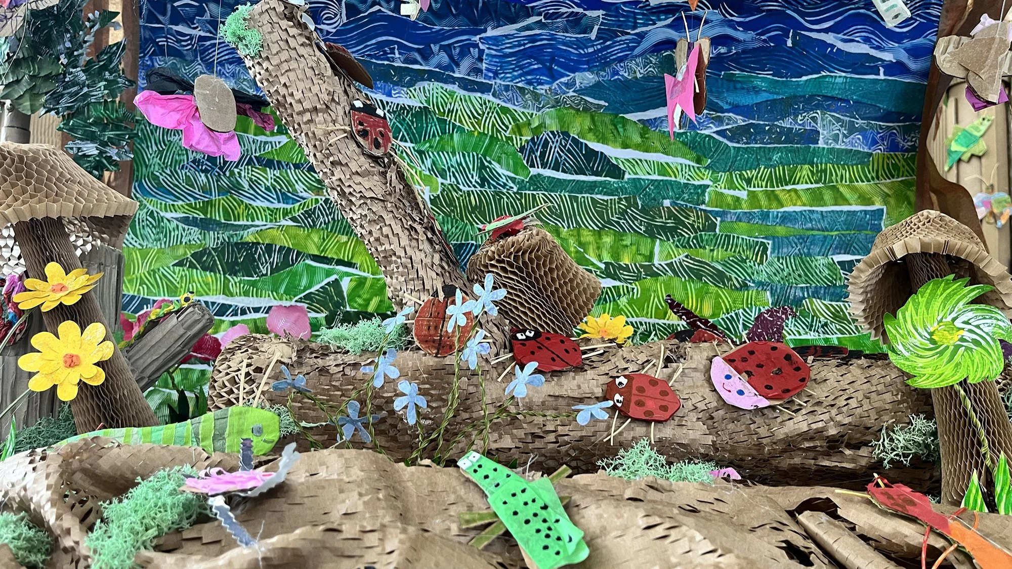 Bug enclosure big .jpg