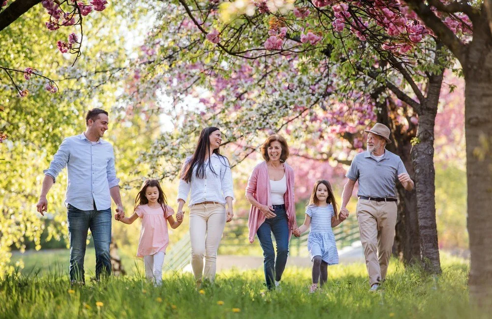 A happy multi-generational family walking together hand-in-hand under blooming cherry blossom trees.
