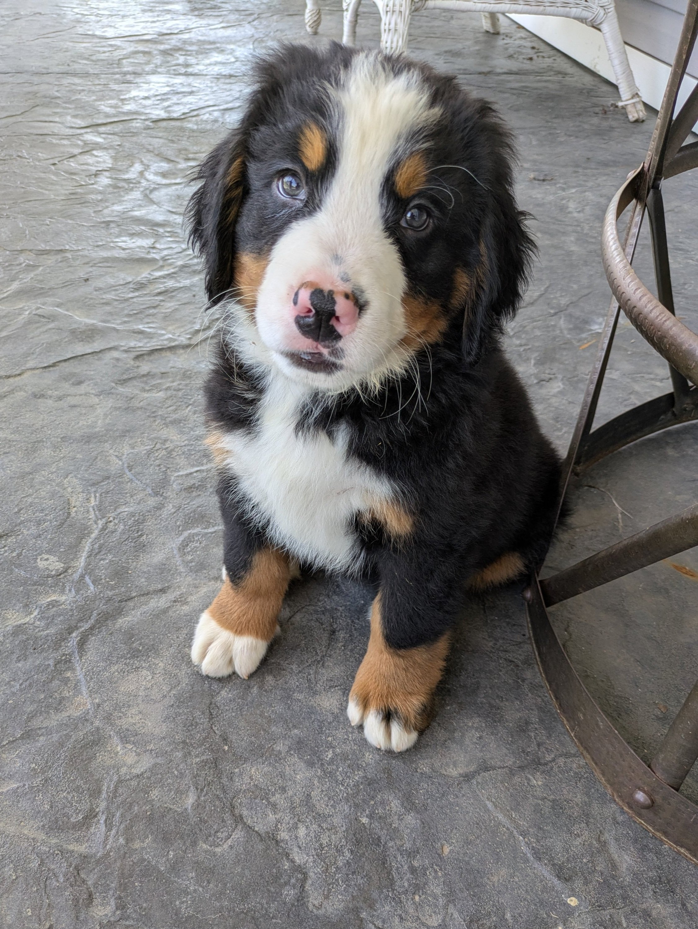 Onyx+8wk.jpg