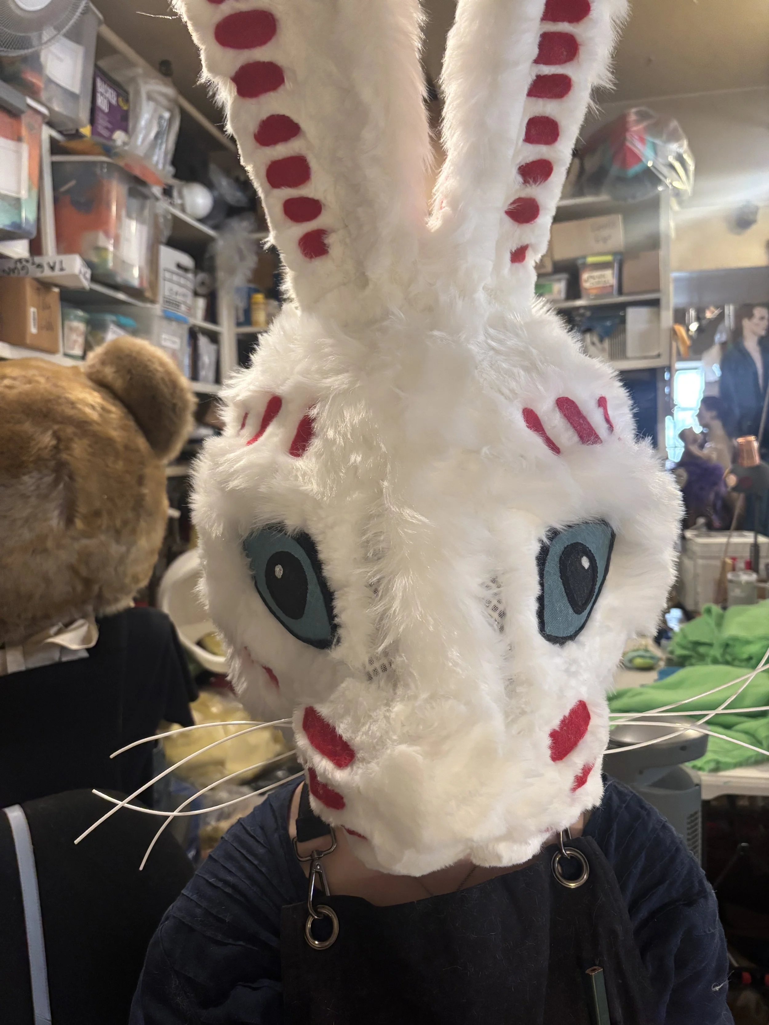 Bunny Head