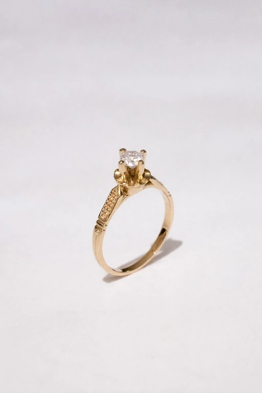 anillo paloma photoshop.JPG