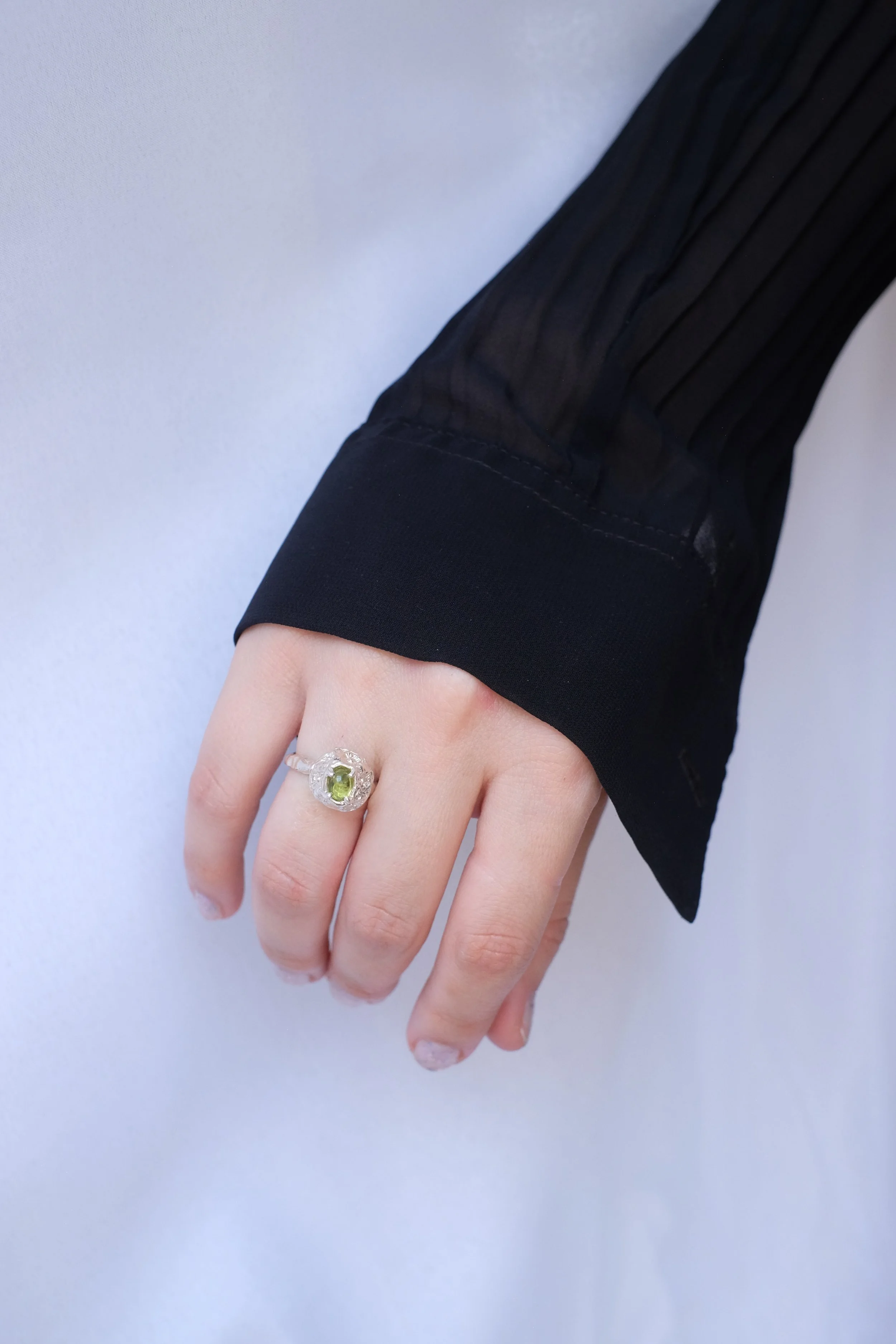 anillo asteroide 1.JPG