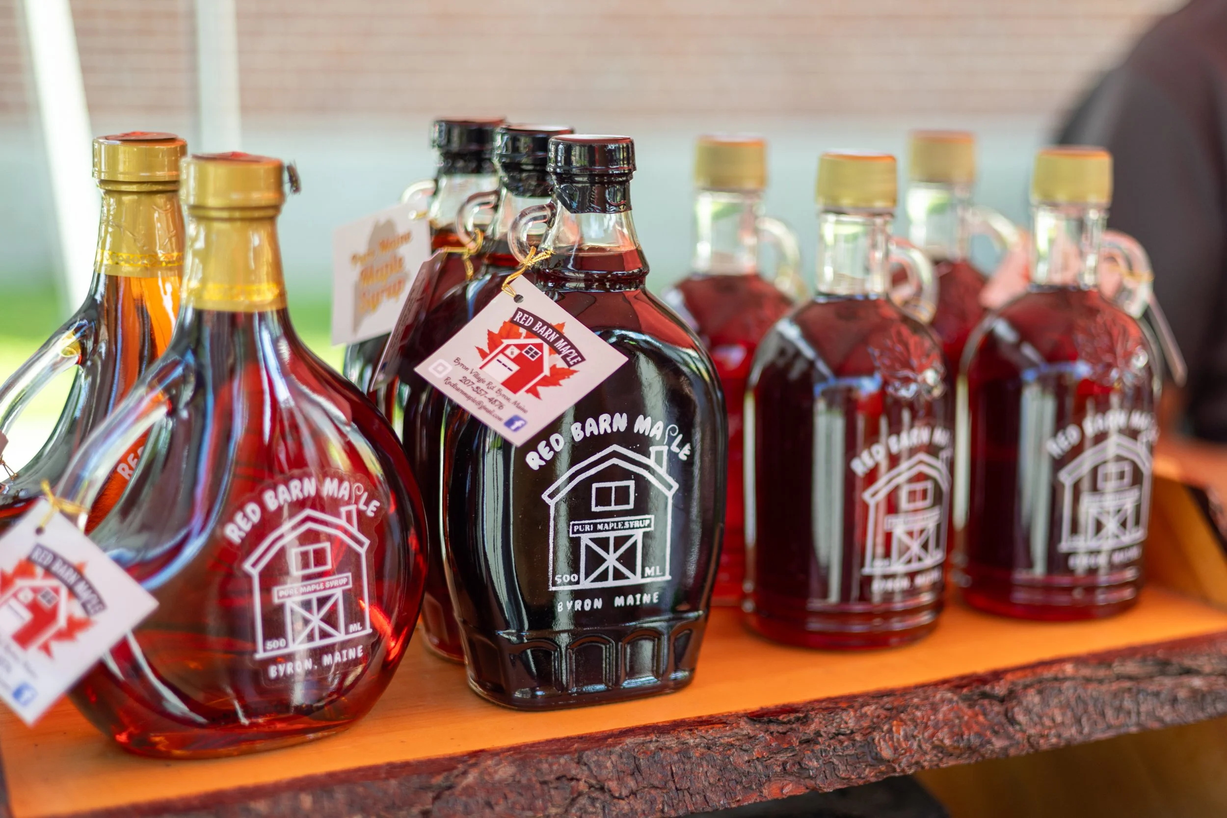 2024 Gray Wild Blueberry Fest - Avi Fox Photography-10.jpg