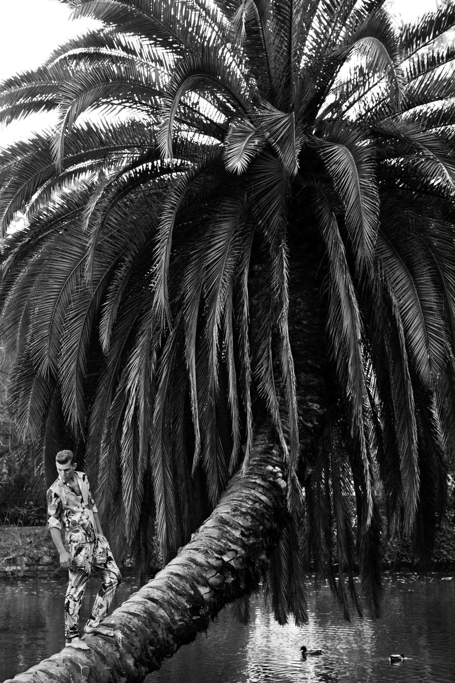 06_Manifesto_1412BW.jpg