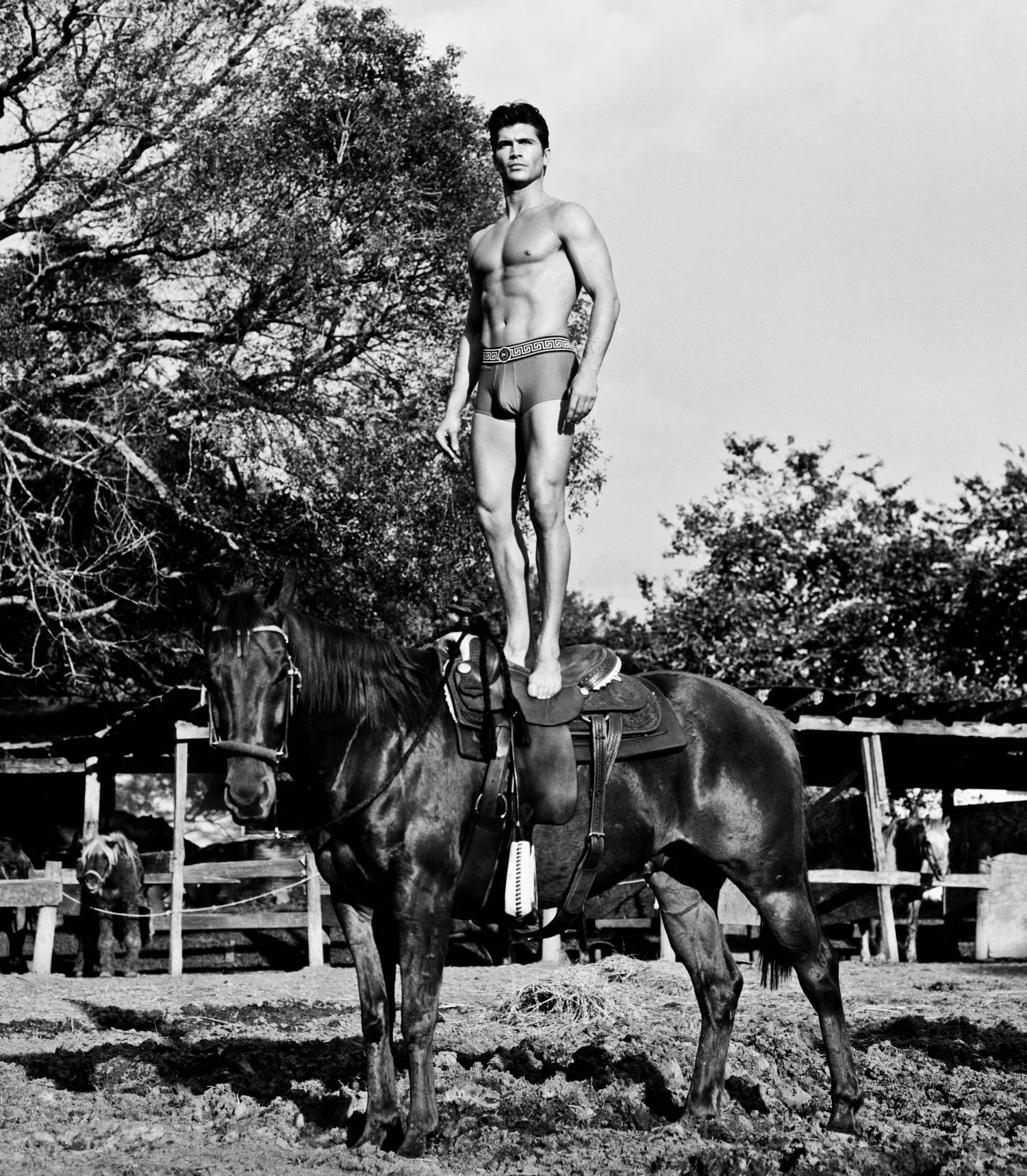 Lotus_Greg_Scan_ 0223.jpg