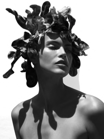image-076.png