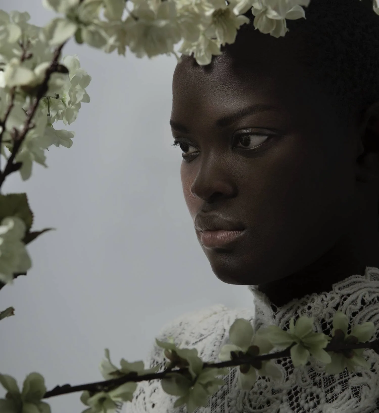 Screen Shot 2023-03-15 at 5.09.28 PM.jpg